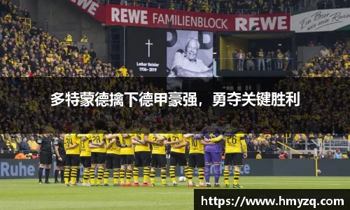 完美体育在线入口官网