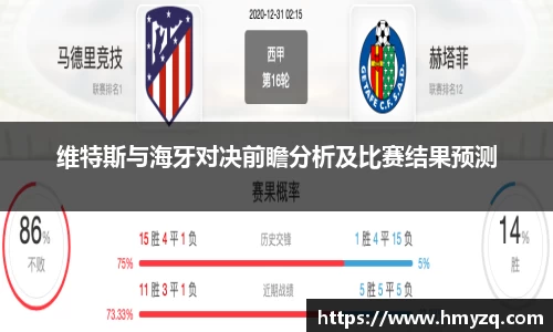 维特斯与海牙对决前瞻分析及比赛结果预测