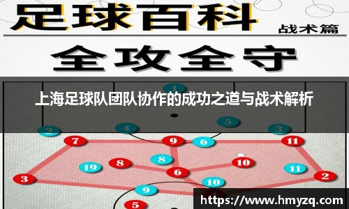 完美体育官网