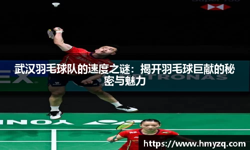 完美体育app下载安装